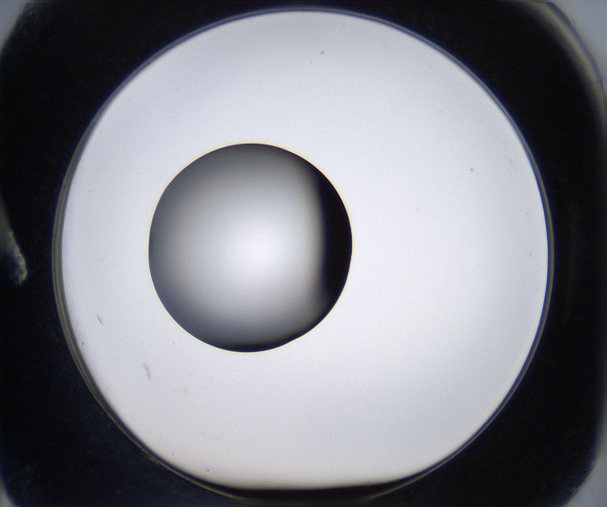 folderID295_plateID2295_batchID10832_wellNum2_profileID1_d1_r160367_ef.jpg