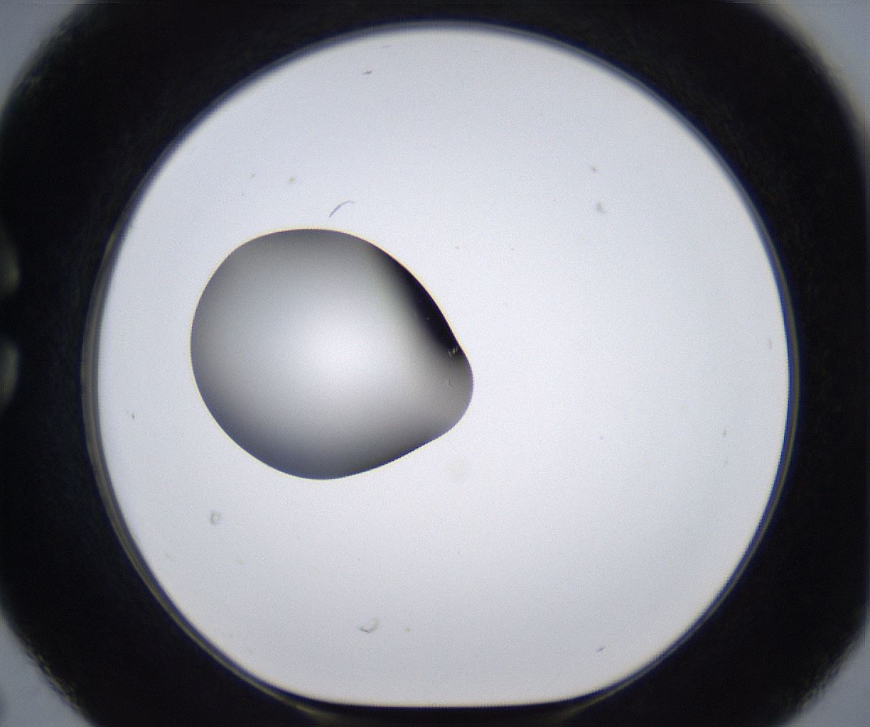 folderID295_plateID2295_batchID10832_wellNum30_profileID1_d1_r160395_ef.jpg