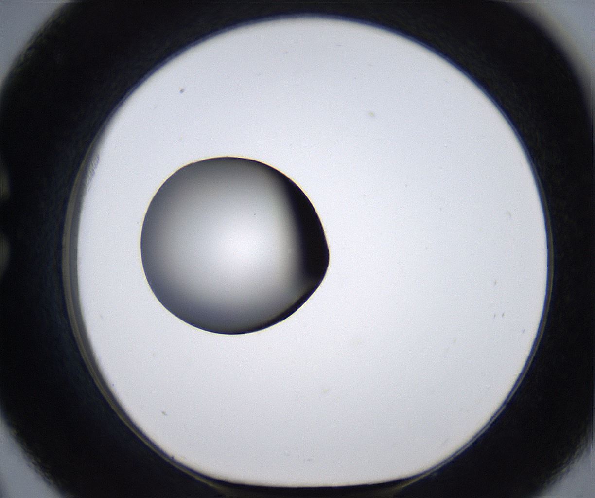 folderID295_plateID2295_batchID10832_wellNum33_profileID1_d1_r160398_ef.jpg