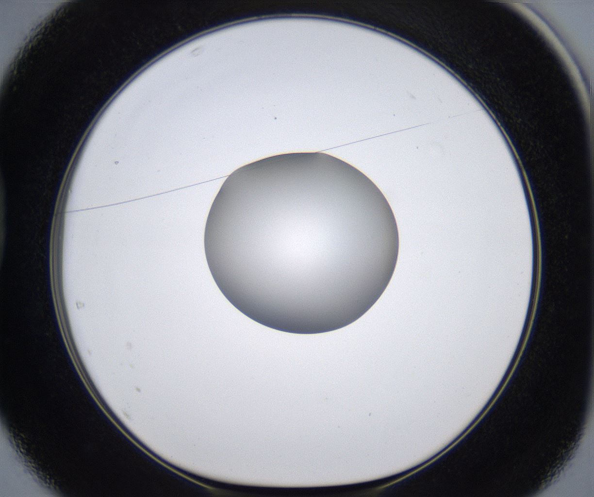folderID295_plateID2295_batchID10832_wellNum37_profileID1_d1_r160402_ef.jpg