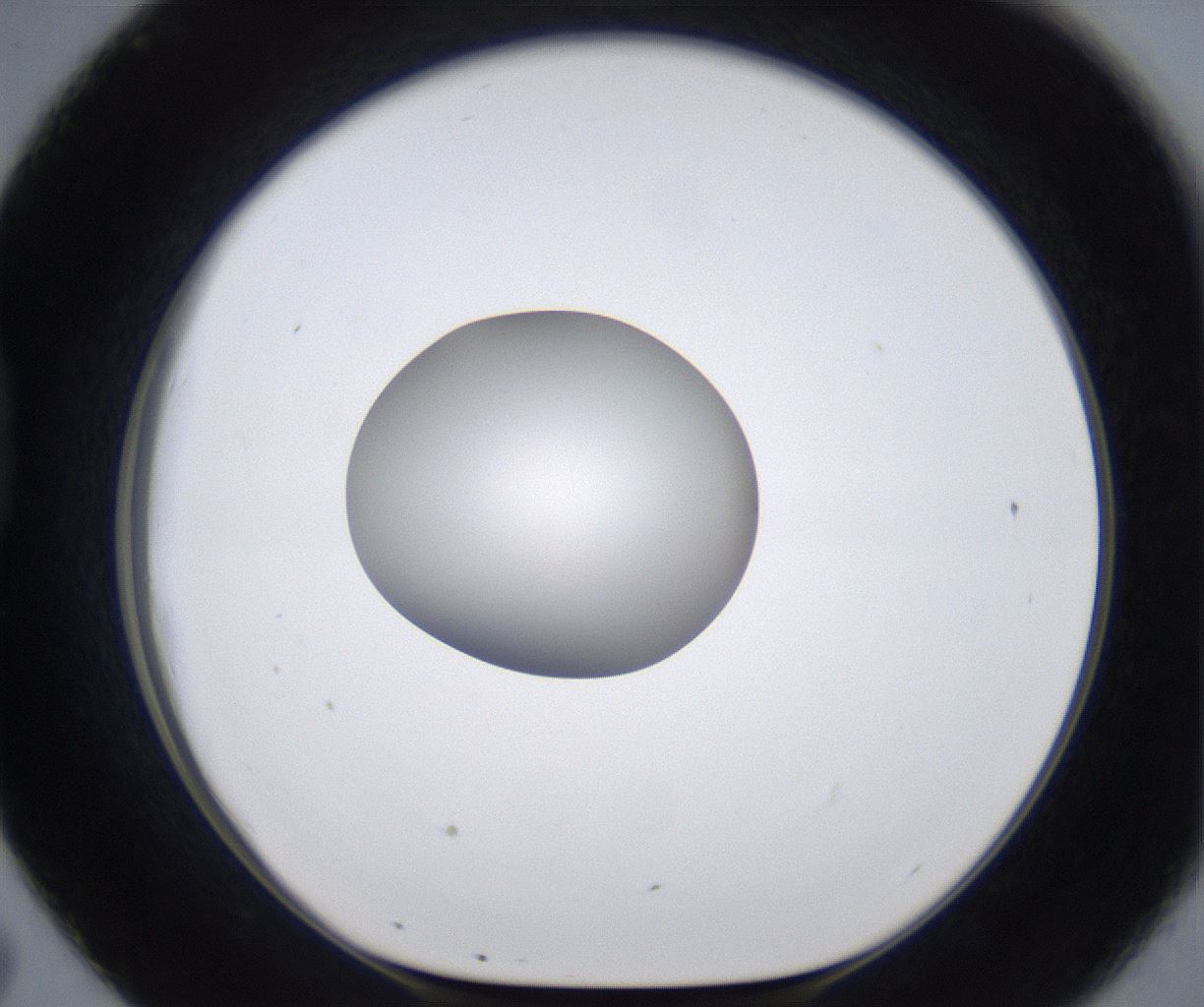 folderID295_plateID2295_batchID10832_wellNum43_profileID1_d1_r160408_ef.jpg