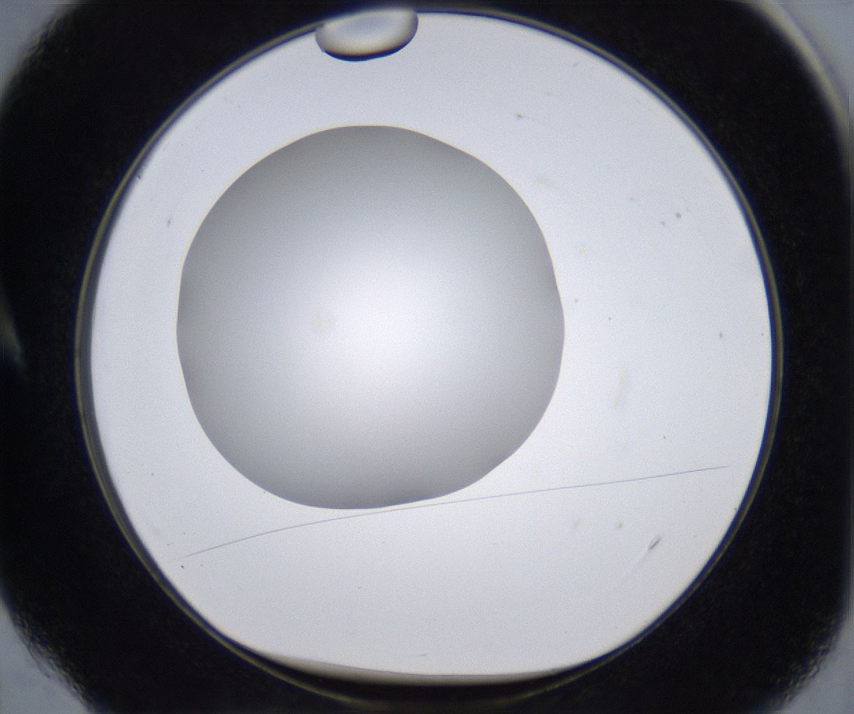folderID295_plateID2295_batchID10832_wellNum4_profileID1_d1_r160369_ef.jpg