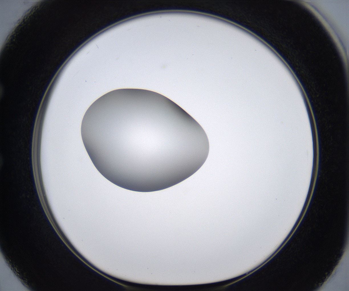 folderID295_plateID2295_batchID10832_wellNum50_profileID1_d1_r160415_ef.jpg