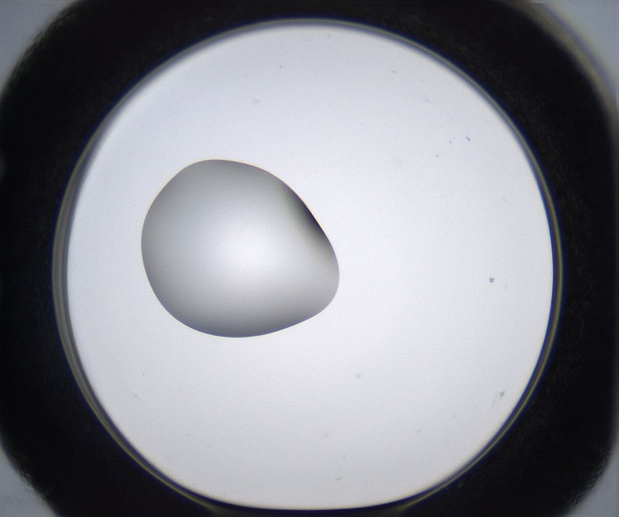 folderID295_plateID2295_batchID10832_wellNum52_profileID1_d1_r160417_ef.jpg