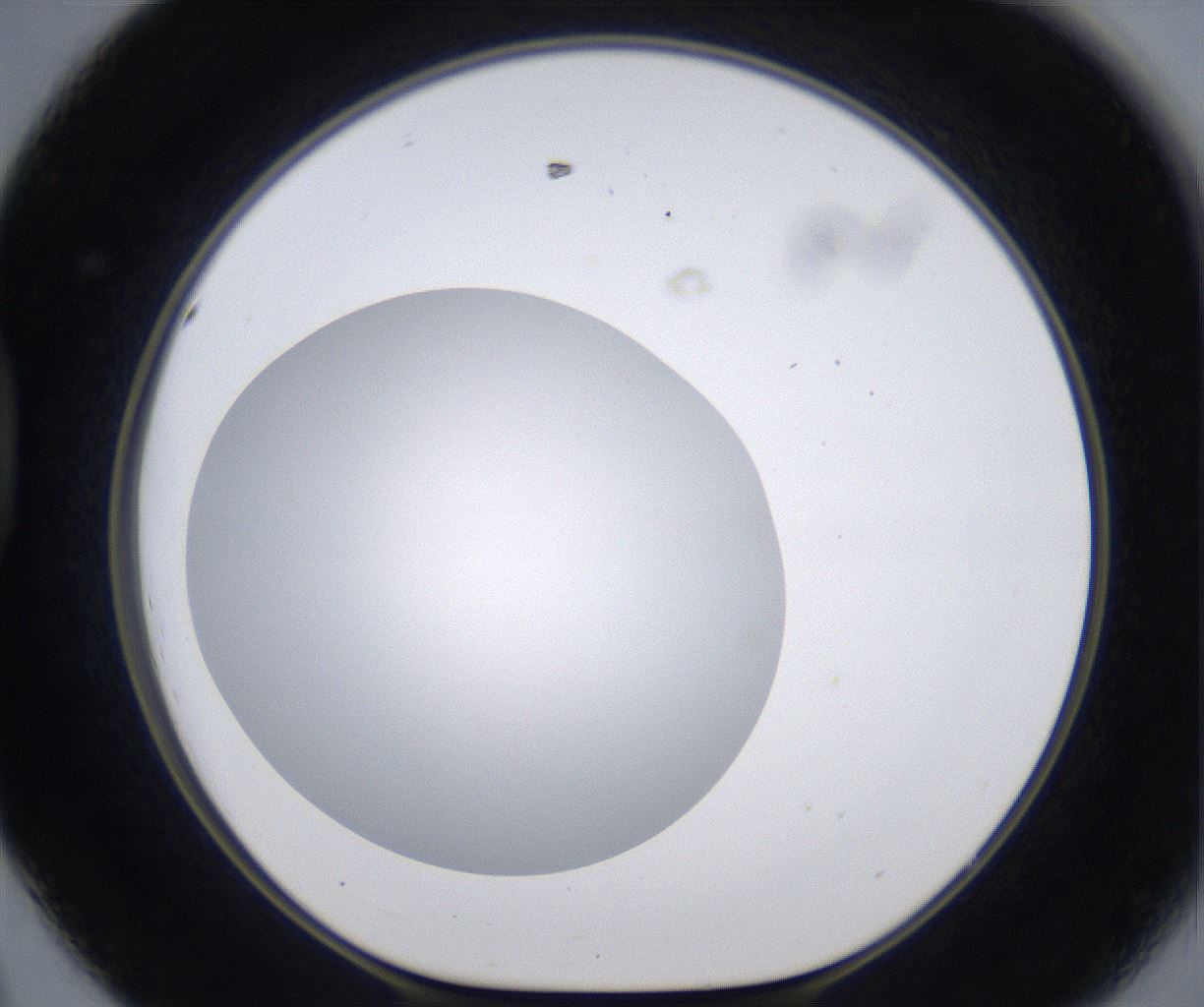 folderID295_plateID2295_batchID10832_wellNum44_profileID1_d1_r160409_ef.jpg