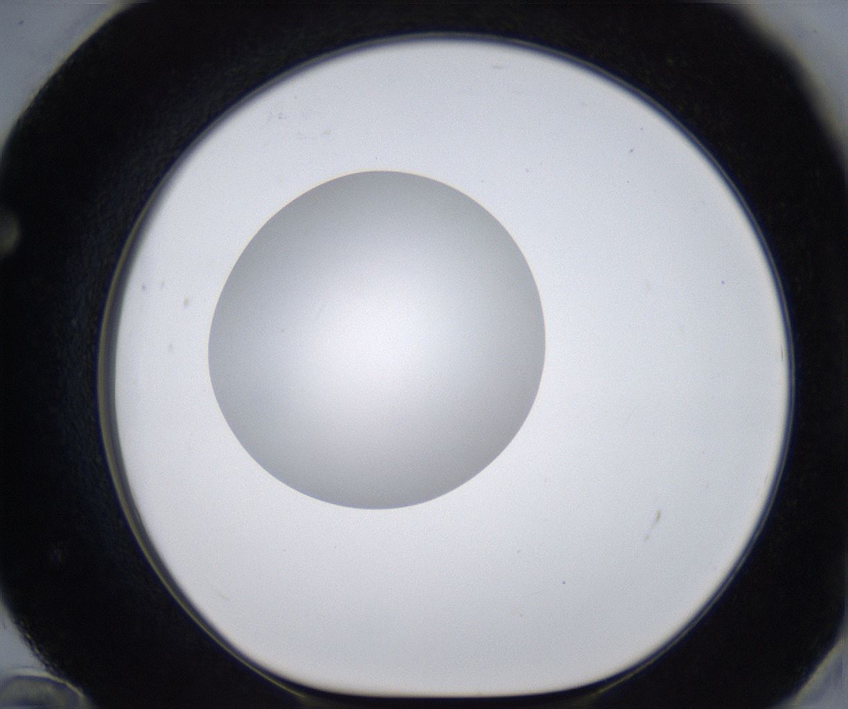 folderID295_plateID2295_batchID10832_wellNum72_profileID1_d1_r160437_ef.jpg