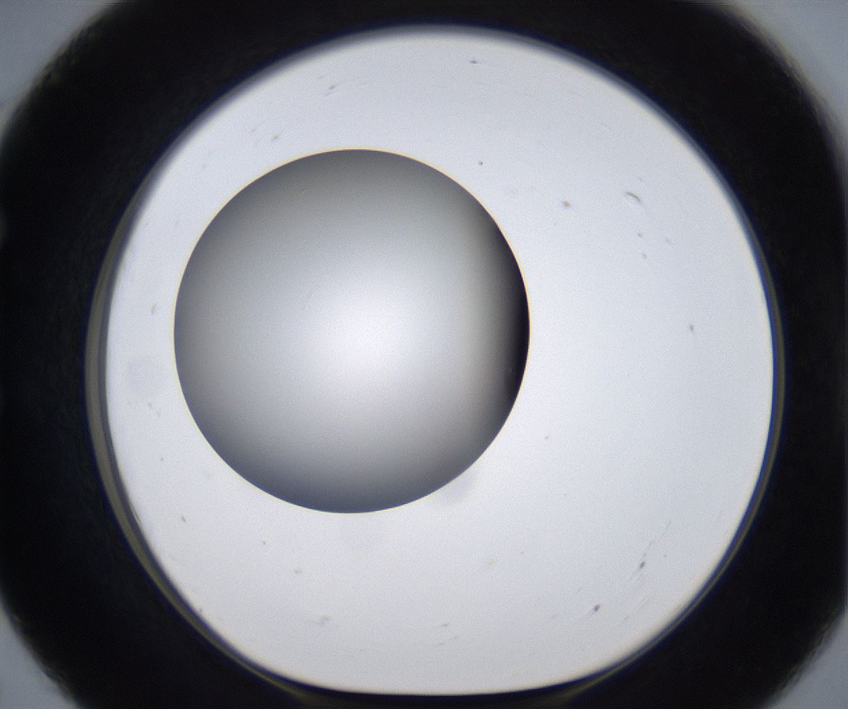folderID295_plateID2295_batchID10832_wellNum55_profileID1_d1_r160420_ef.jpg