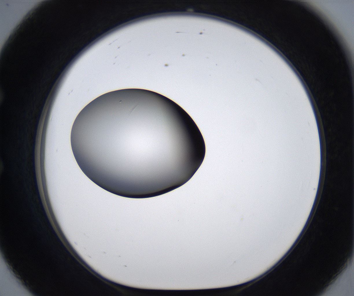 folderID295_plateID2295_batchID10832_wellNum56_profileID1_d1_r160421_ef.jpg