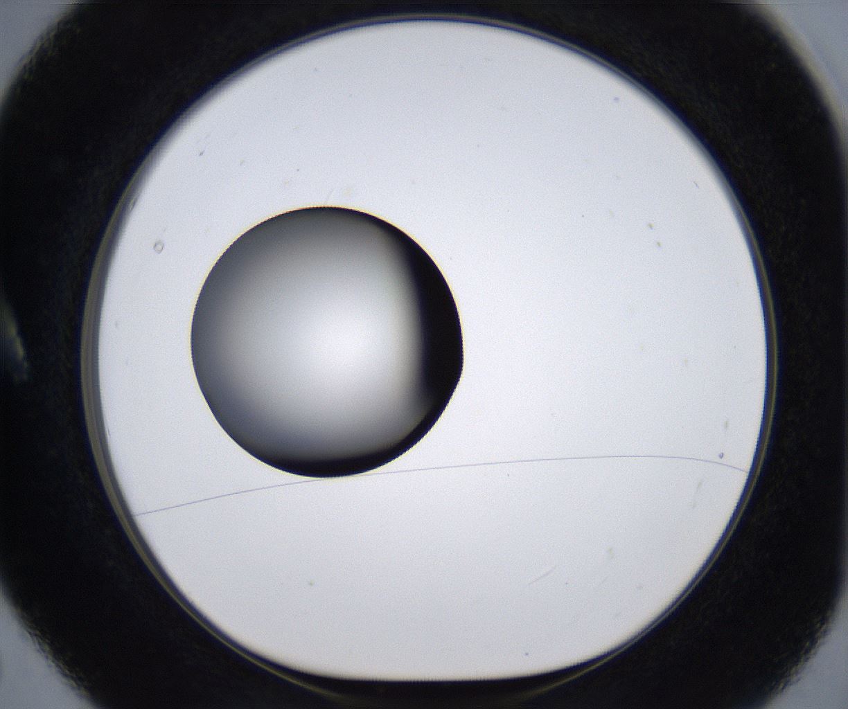 folderID295_plateID2295_batchID10832_wellNum5_profileID1_d1_r160370_ef.jpg