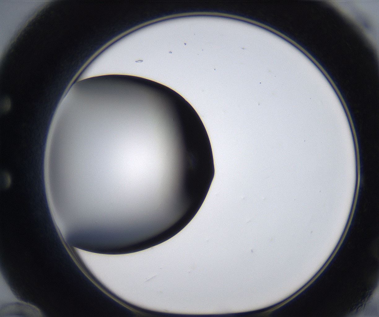 folderID295_plateID2295_batchID10832_wellNum60_profileID1_d1_r160425_ef.jpg