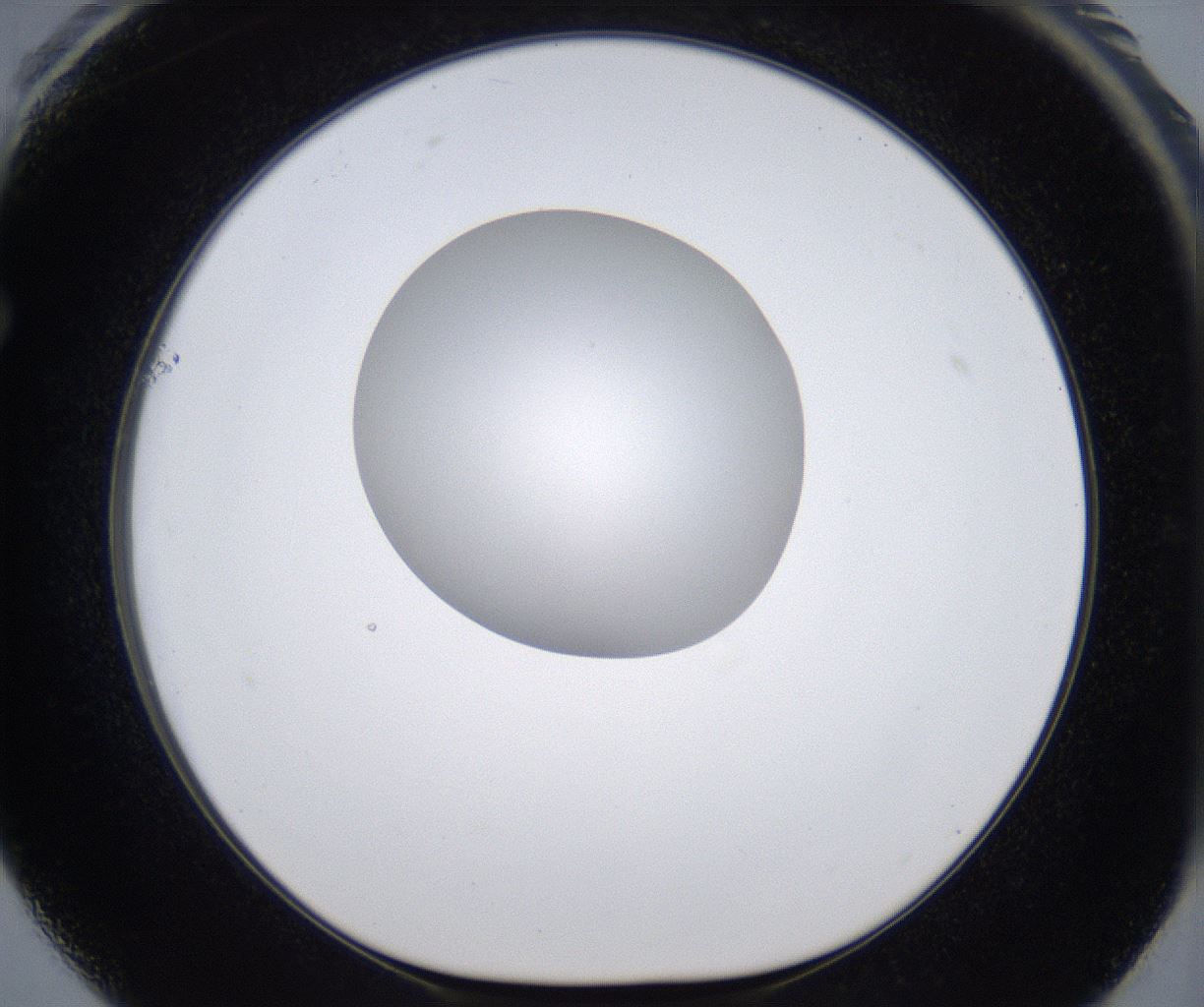 folderID295_plateID2295_batchID10832_wellNum61_profileID1_d1_r160426_ef.jpg