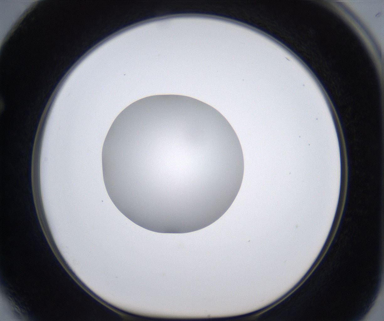 folderID295_plateID2295_batchID10832_wellNum64_profileID1_d1_r160429_ef.jpg