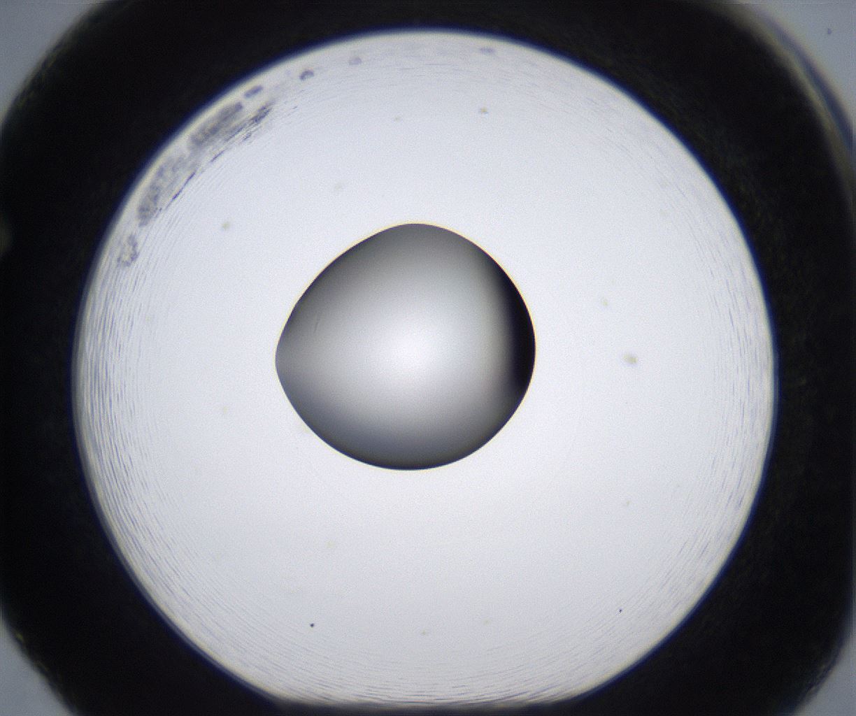 folderID295_plateID2295_batchID10832_wellNum65_profileID1_d1_r160430_ef.jpg