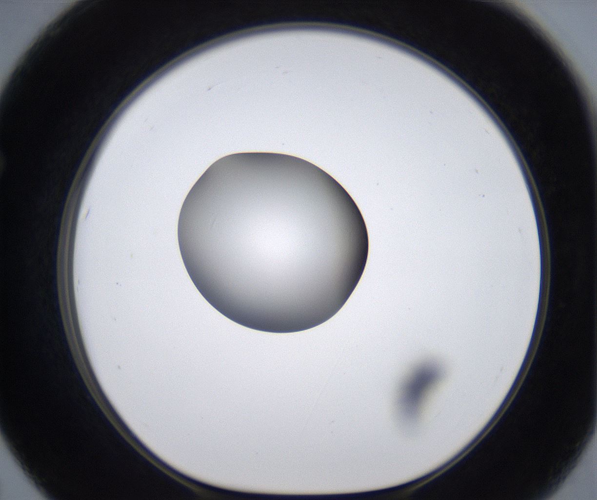 folderID295_plateID2295_batchID10832_wellNum67_profileID1_d1_r160432_ef.jpg