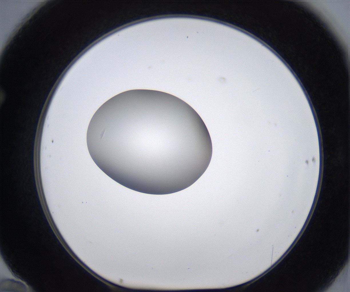 folderID295_plateID2295_batchID10832_wellNum70_profileID1_d1_r160435_ef.jpg