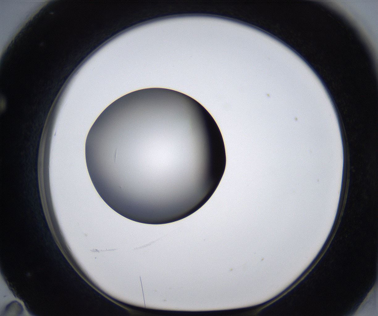 folderID295_plateID2295_batchID10832_wellNum71_profileID1_d1_r160436_ef.jpg