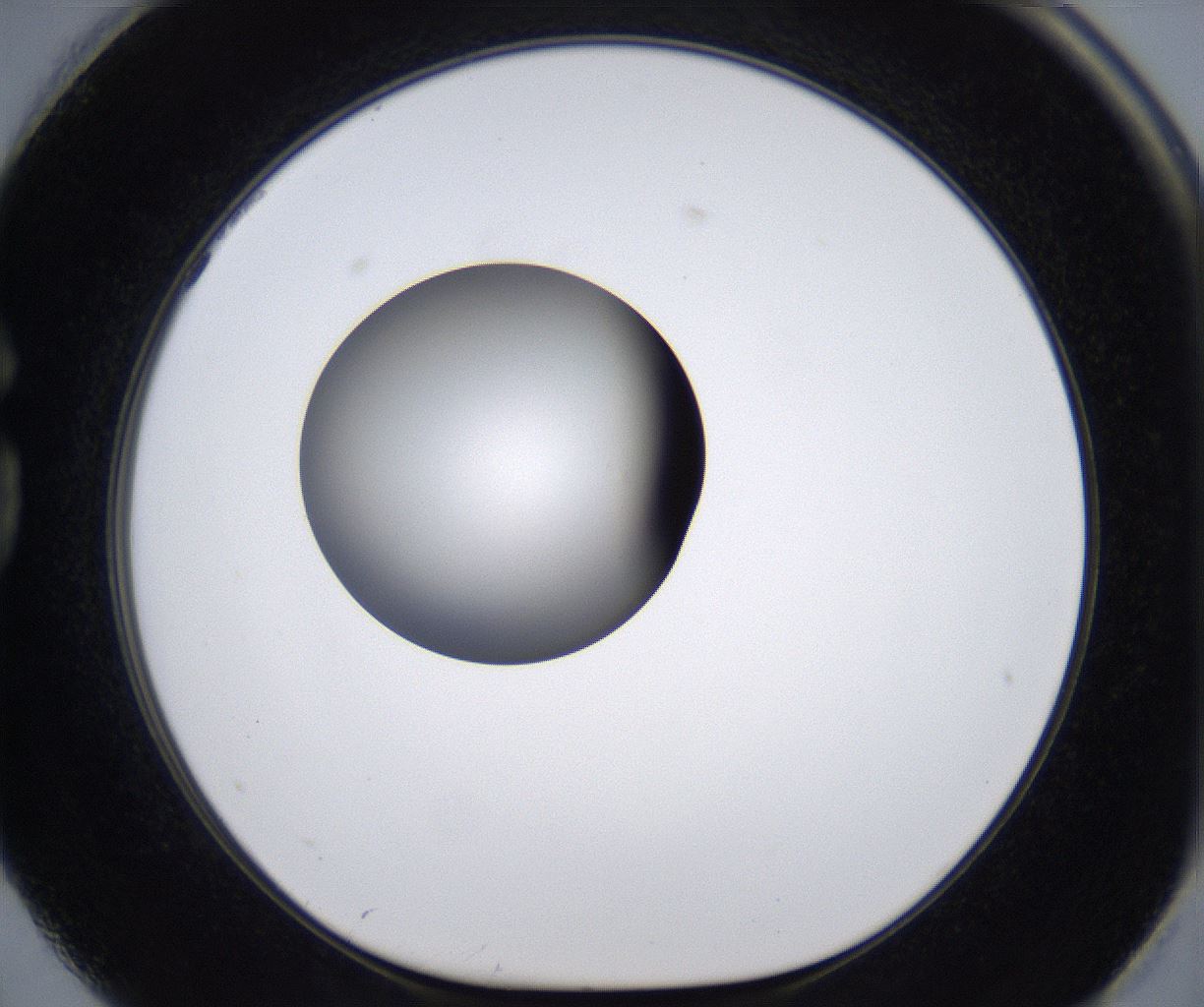 folderID295_plateID2295_batchID10832_wellNum74_profileID1_d1_r160439_ef.jpg