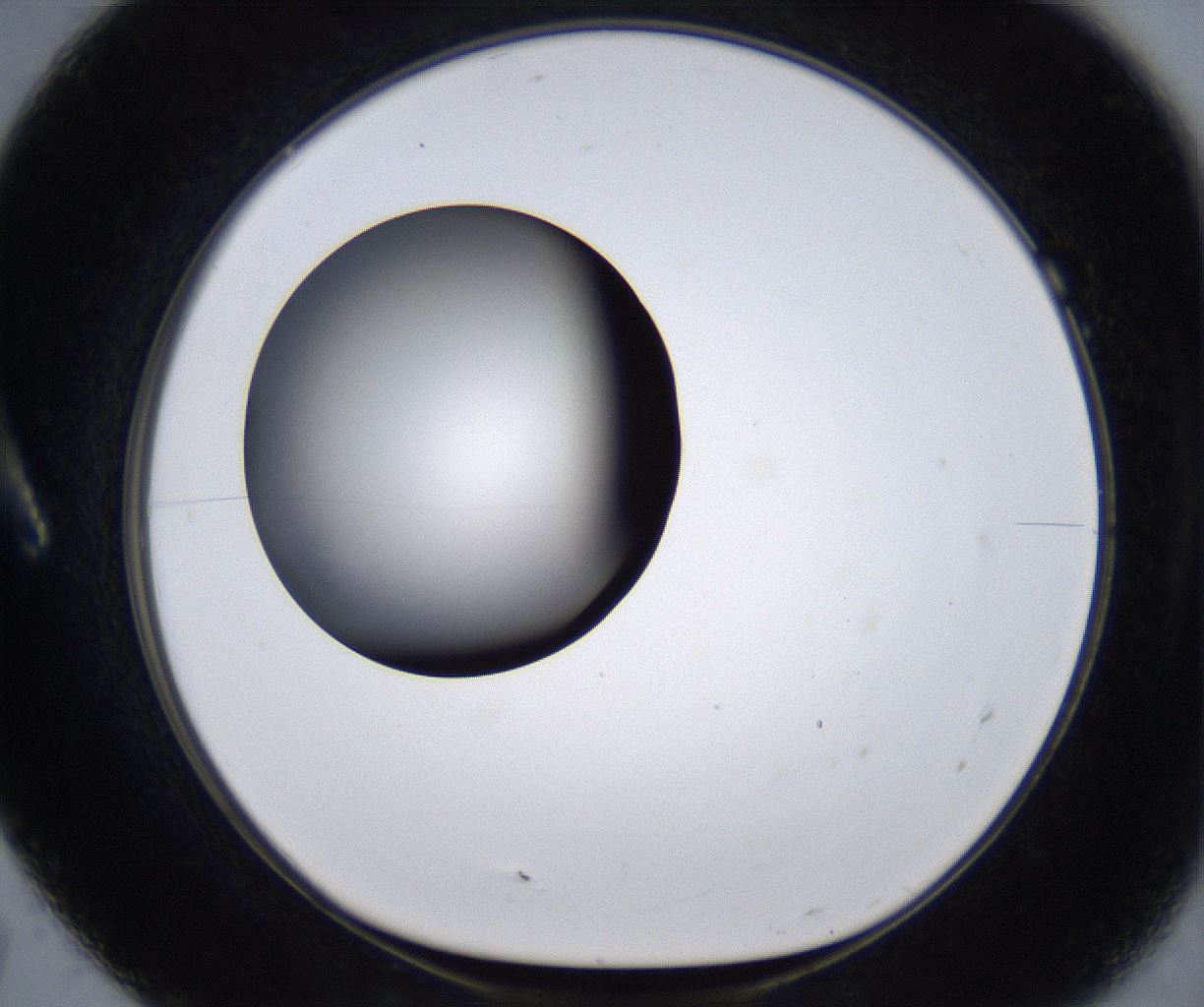 folderID295_plateID2295_batchID10832_wellNum7_profileID1_d1_r160372_ef.jpg