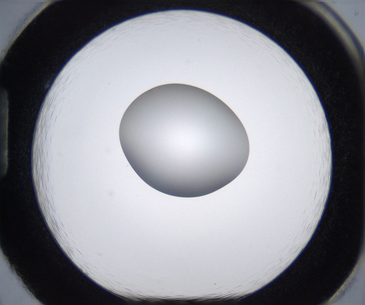 folderID295_plateID2295_batchID10832_wellNum86_profileID1_d1_r160451_ef.jpg