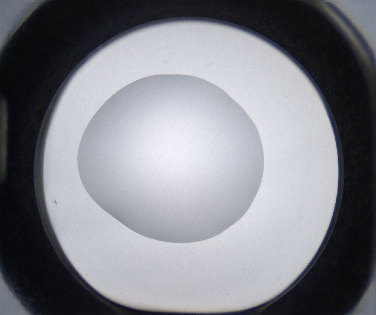 folderID295_plateID2295_batchID10832_wellNum89_profileID1_d1_r160454_ef.jpg