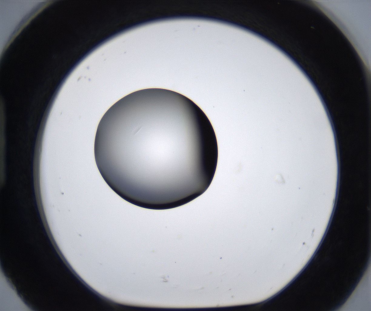folderID295_plateID2295_batchID10832_wellNum92_profileID1_d1_r160457_ef.jpg