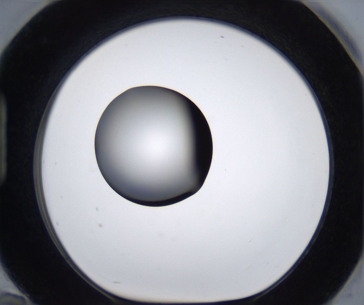 folderID295_plateID2295_batchID10832_wellNum94_profileID1_d1_r160459_ef.jpg