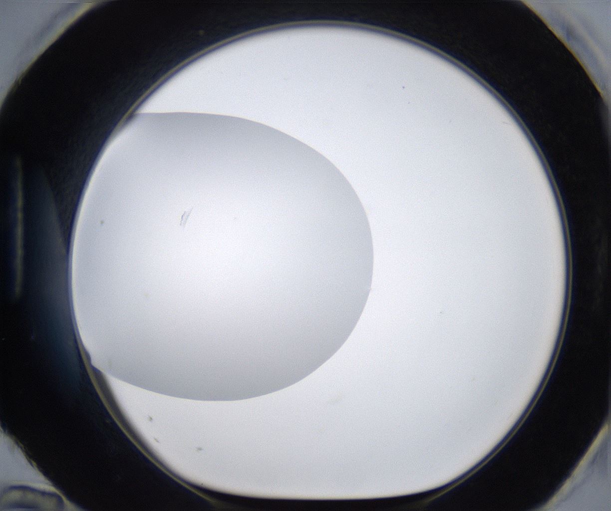 folderID295_plateID2295_batchID10832_wellNum96_profileID1_d1_r160461_ef.jpg