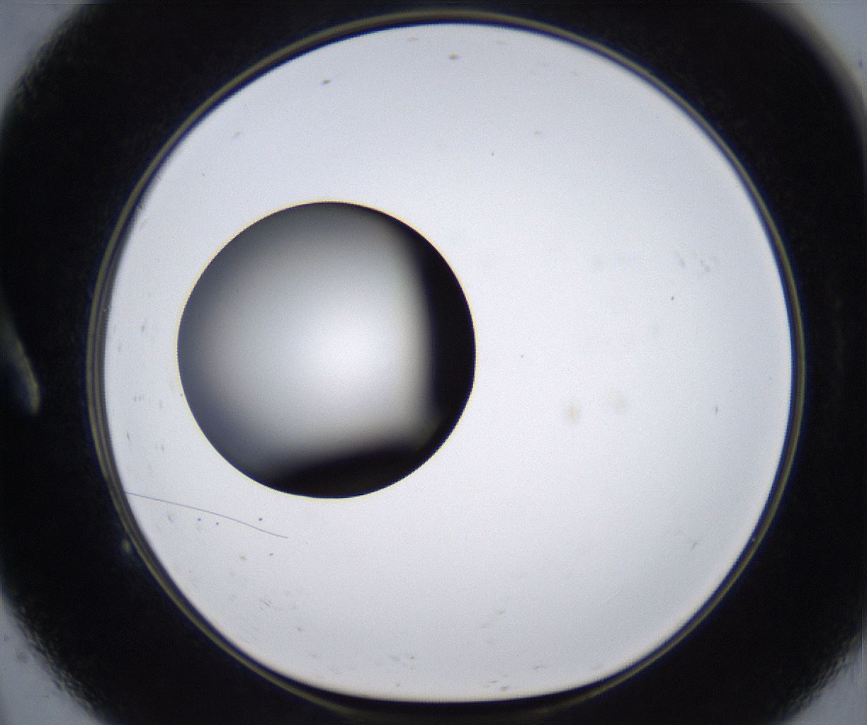 folderID295_plateID2295_batchID10832_wellNum9_profileID1_d1_r160374_ef.jpg