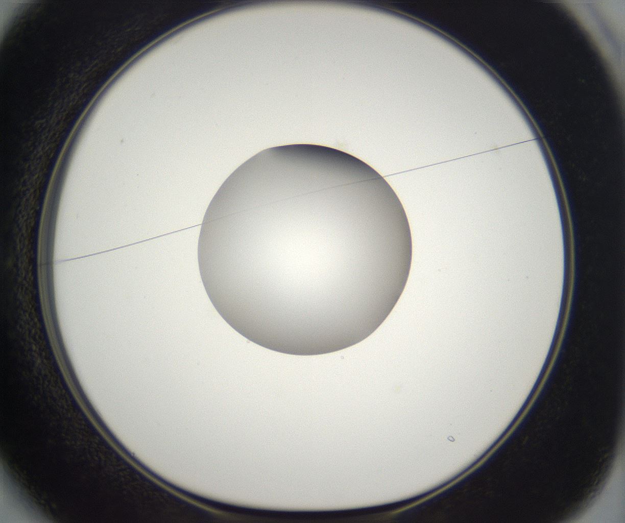 folderID296_plateID2296_batchID10852_wellNum13_profileID1_d1_r161434_ef.jpg