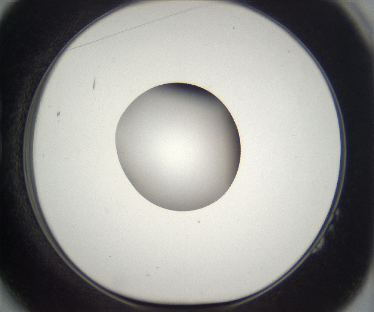 folderID296_plateID2296_batchID10852_wellNum14_profileID1_d1_r161435_ef.jpg