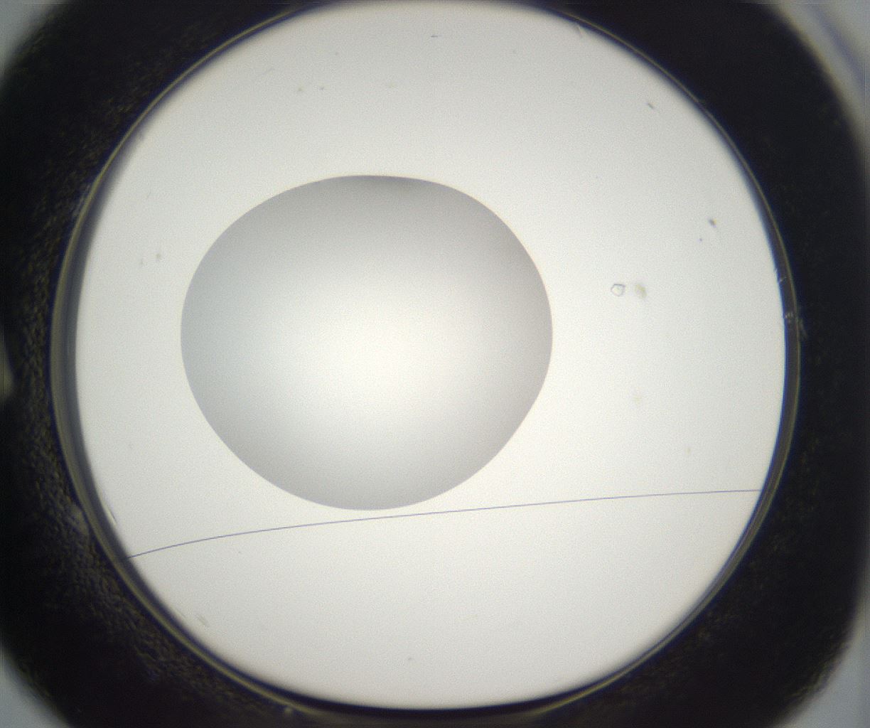folderID296_plateID2296_batchID10852_wellNum1_profileID1_d1_r161422_ef.jpg