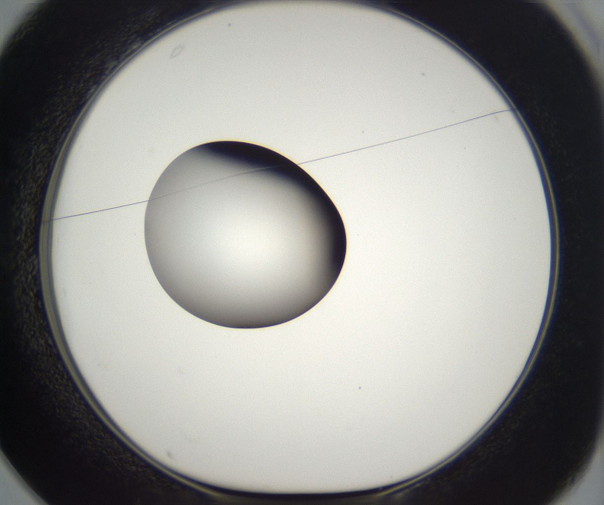 folderID296_plateID2296_batchID10852_wellNum25_profileID1_d1_r161446_ef.jpg