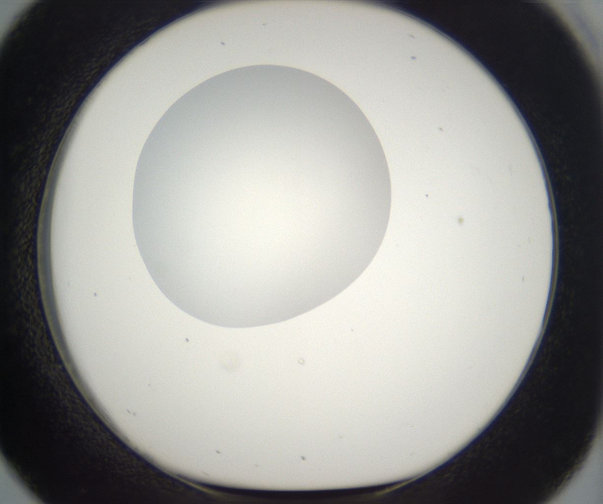 folderID296_plateID2296_batchID10852_wellNum26_profileID1_d1_r161447_ef.jpg