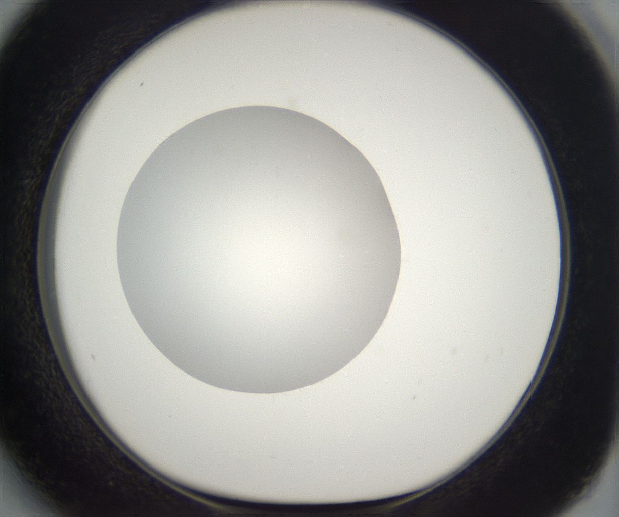 folderID296_plateID2296_batchID10852_wellNum27_profileID1_d1_r161448_ef.jpg