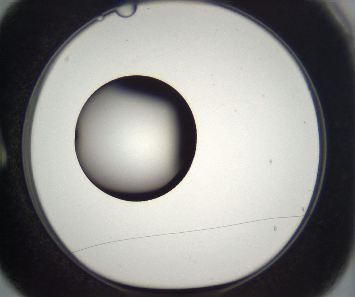 folderID296_plateID2296_batchID10852_wellNum3_profileID1_d1_r161424_ef.jpg