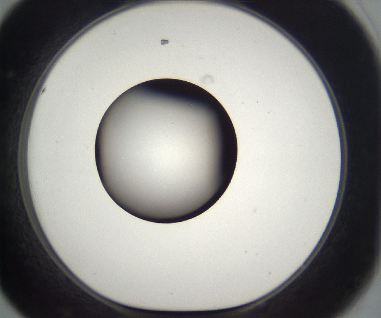 folderID296_plateID2296_batchID10852_wellNum44_profileID1_d1_r161465_ef.jpg