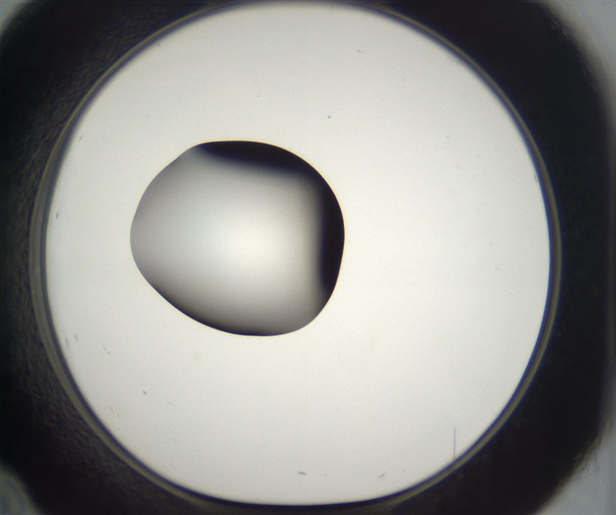 folderID296_plateID2296_batchID10852_wellNum46_profileID1_d1_r161467_ef.jpg