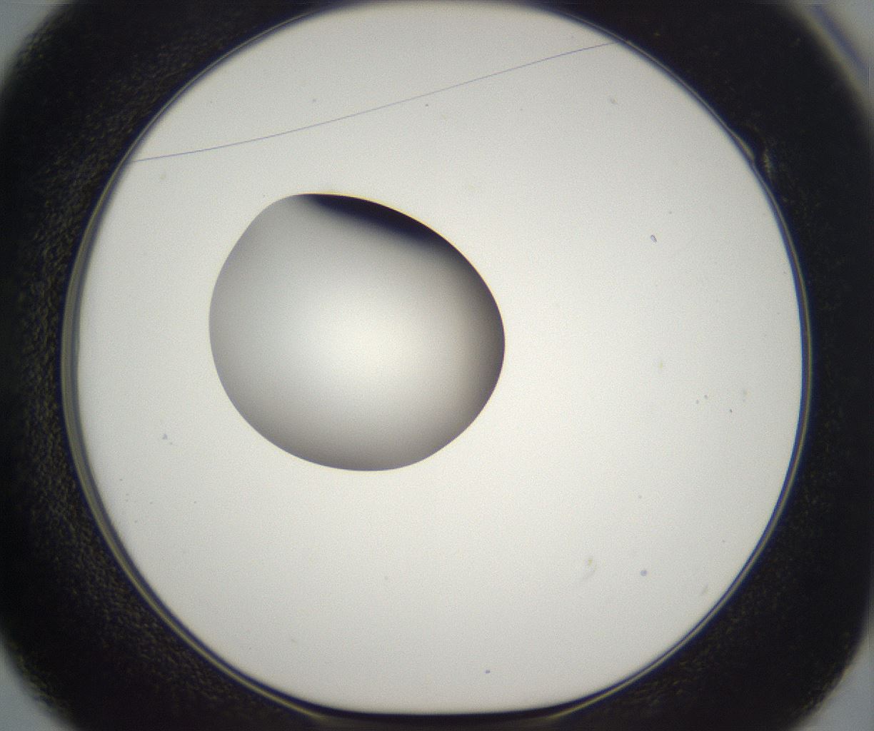 folderID296_plateID2296_batchID10852_wellNum49_profileID1_d1_r161470_ef.jpg