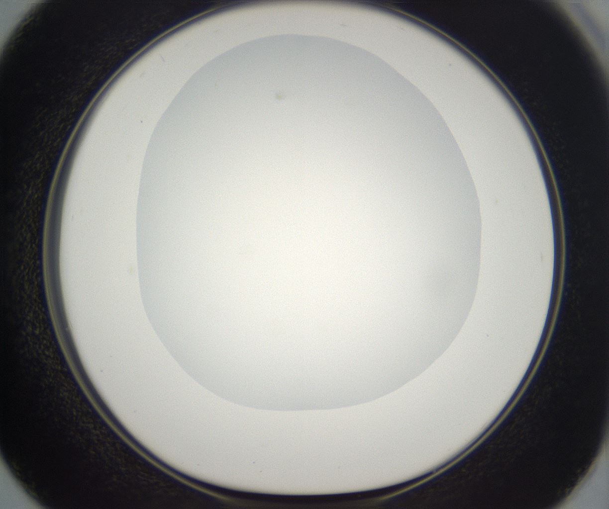 folderID296_plateID2296_batchID10852_wellNum50_profileID1_d1_r161471_ef.jpg