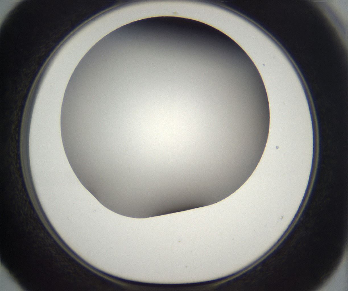 folderID296_plateID2296_batchID10852_wellNum52_profileID1_d1_r161473_ef.jpg