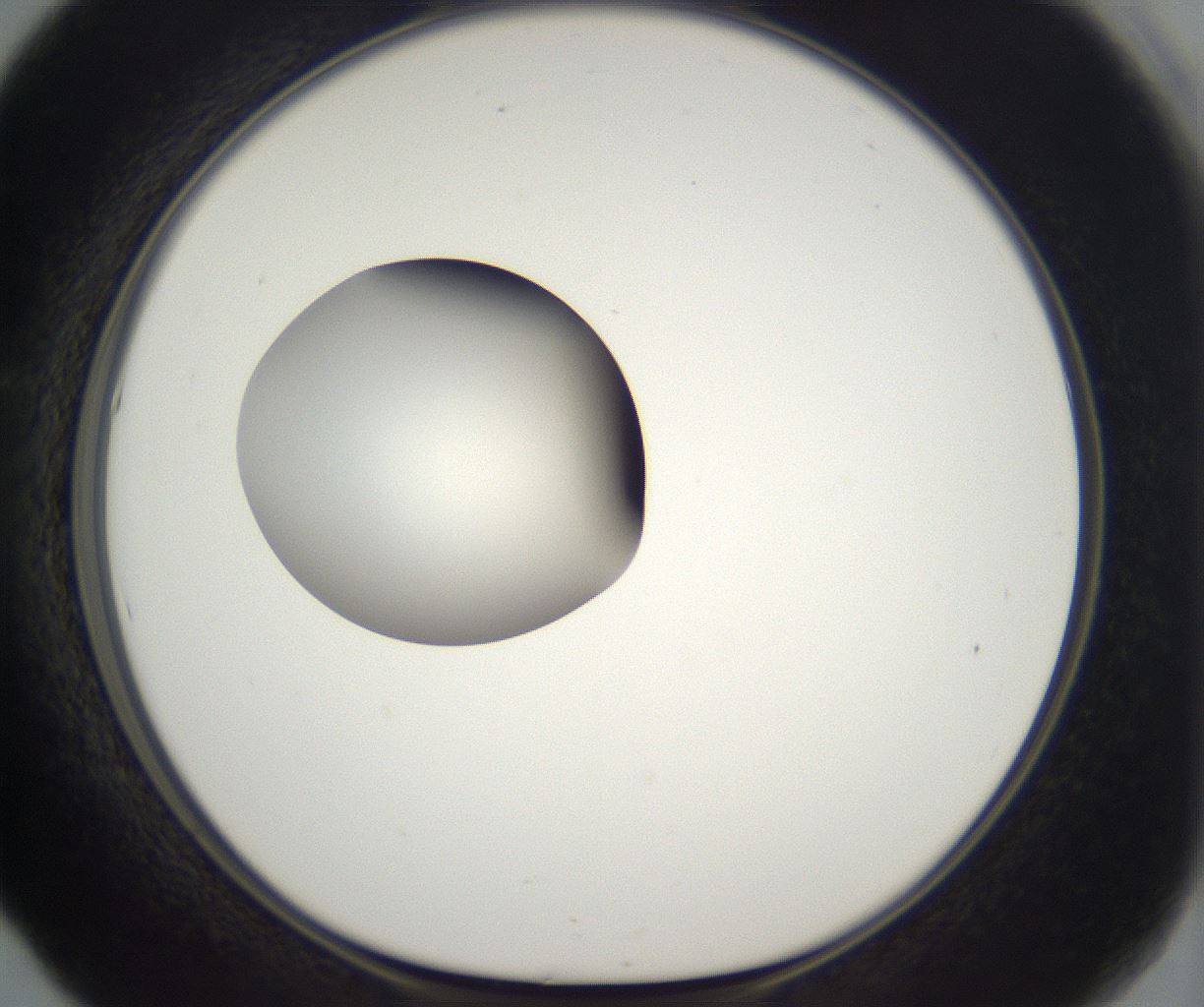 folderID296_plateID2296_batchID10852_wellNum53_profileID1_d1_r161474_ef.jpg