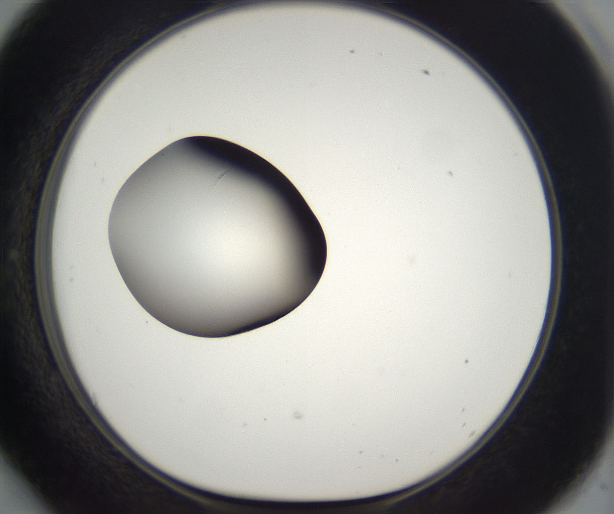 folderID296_plateID2296_batchID10852_wellNum54_profileID1_d1_r161475_ef.jpg
