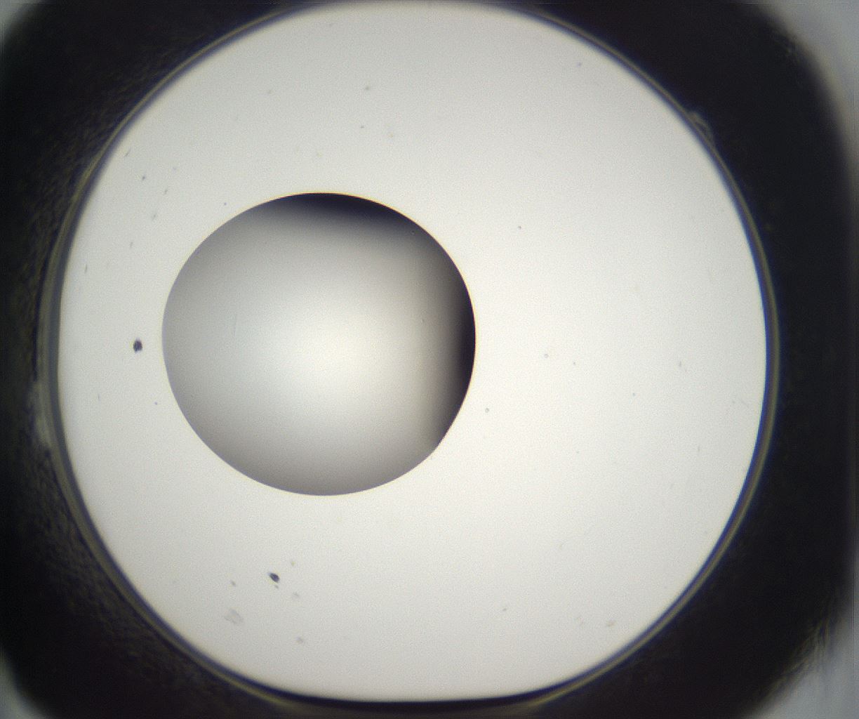 folderID296_plateID2296_batchID10852_wellNum23_profileID1_d1_r161444_ef.jpg