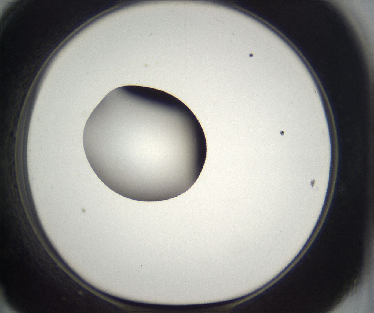 folderID296_plateID2296_batchID10852_wellNum47_profileID1_d1_r161468_ef.jpg