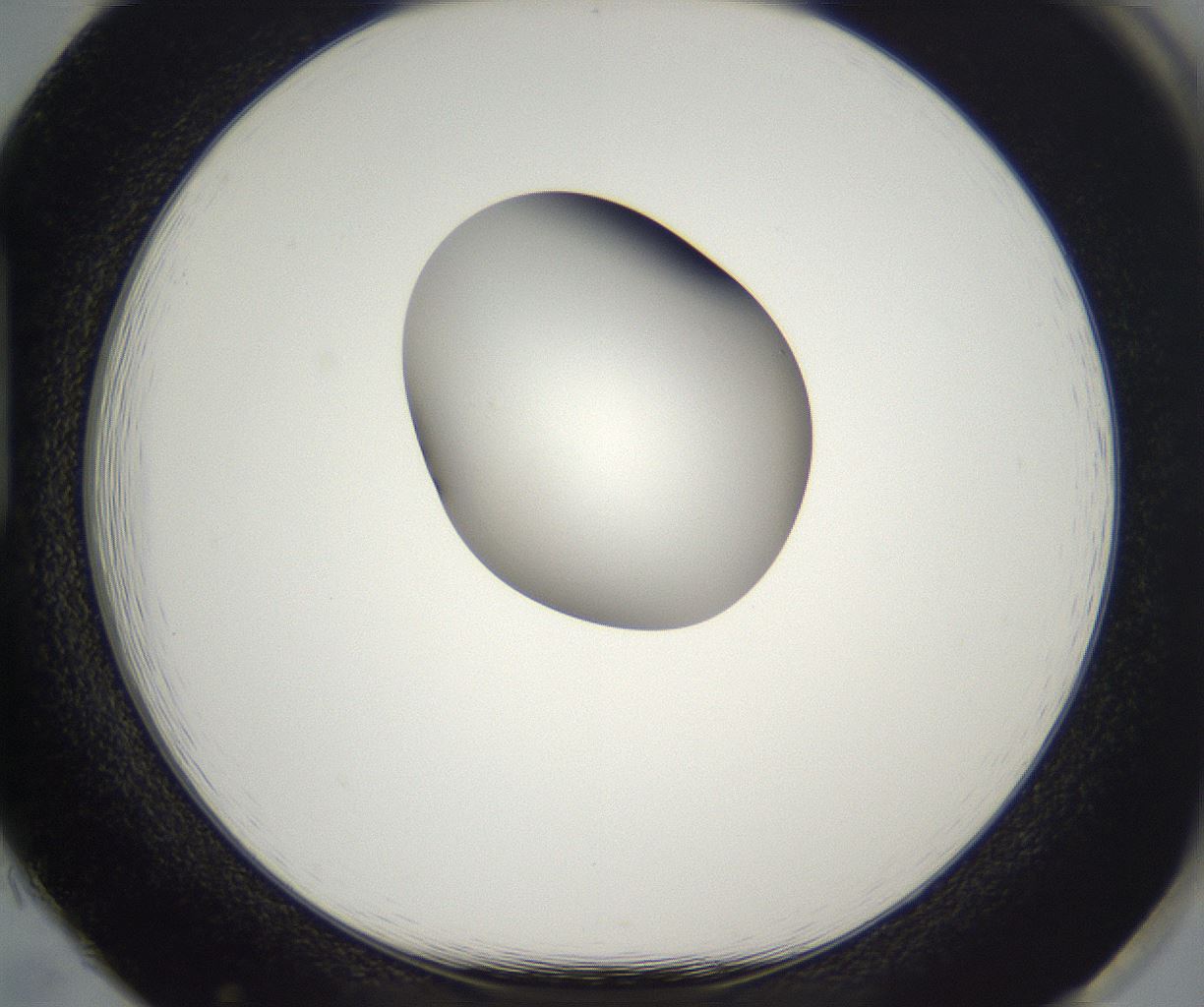 folderID296_plateID2296_batchID10852_wellNum85_profileID1_d1_r161506_ef.jpg