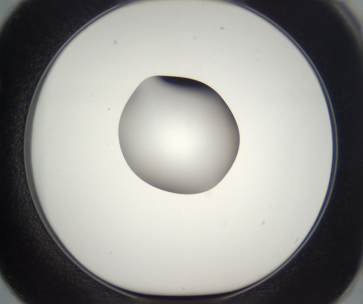 folderID296_plateID2296_batchID10852_wellNum62_profileID1_d1_r161483_ef.jpg