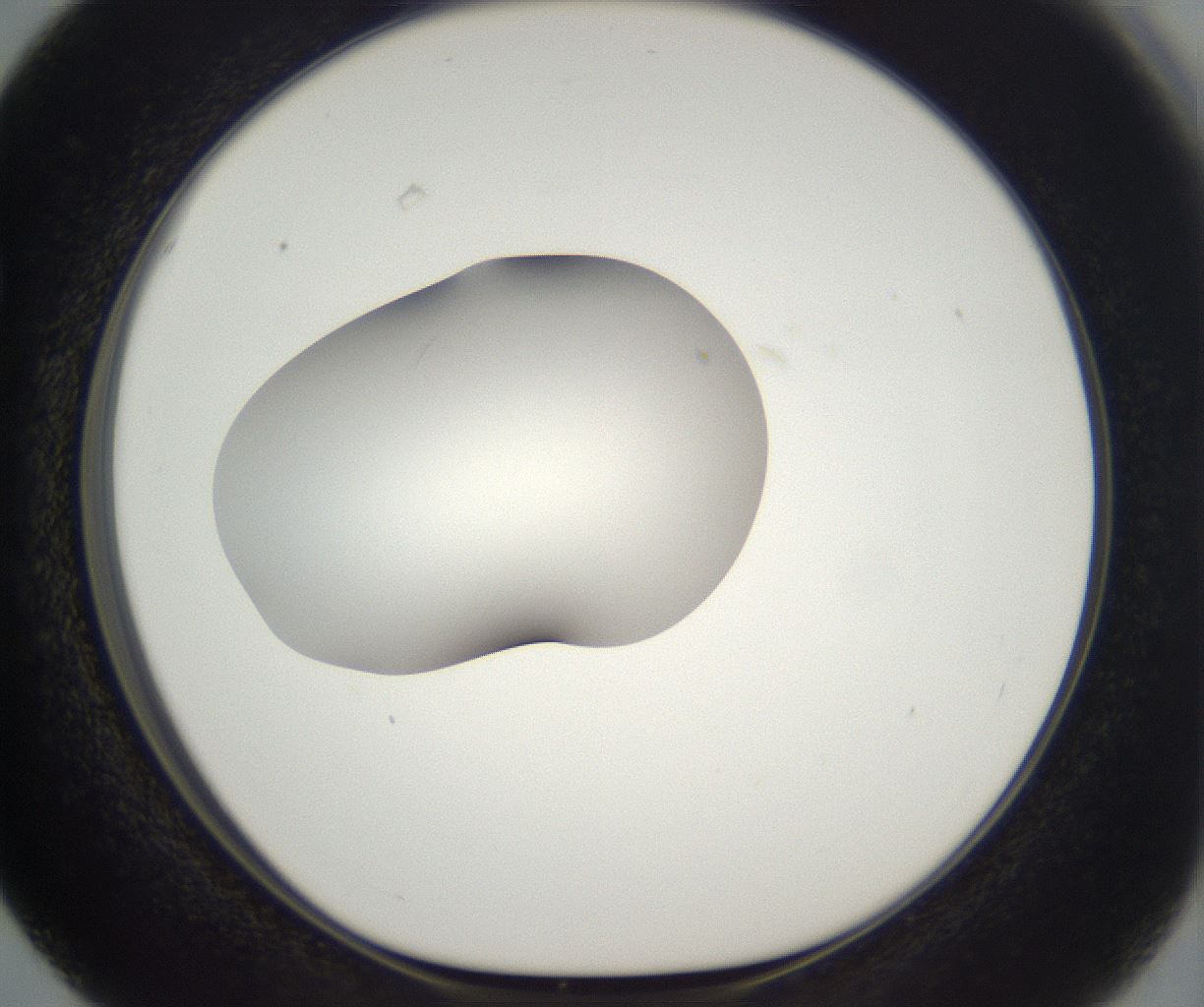 folderID296_plateID2296_batchID10852_wellNum63_profileID1_d1_r161484_ef.jpg