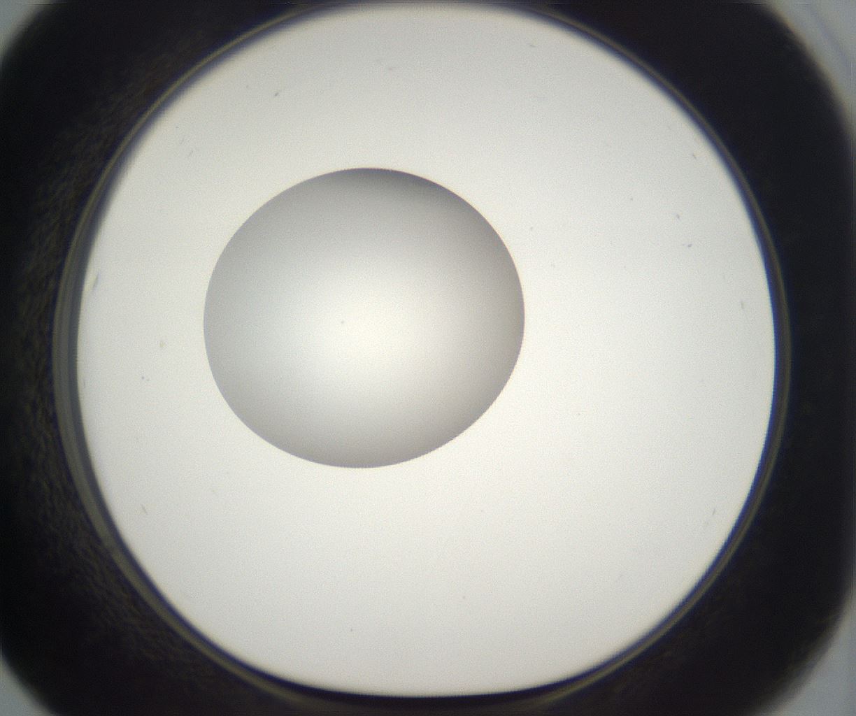 folderID296_plateID2296_batchID10852_wellNum67_profileID1_d1_r161488_ef.jpg
