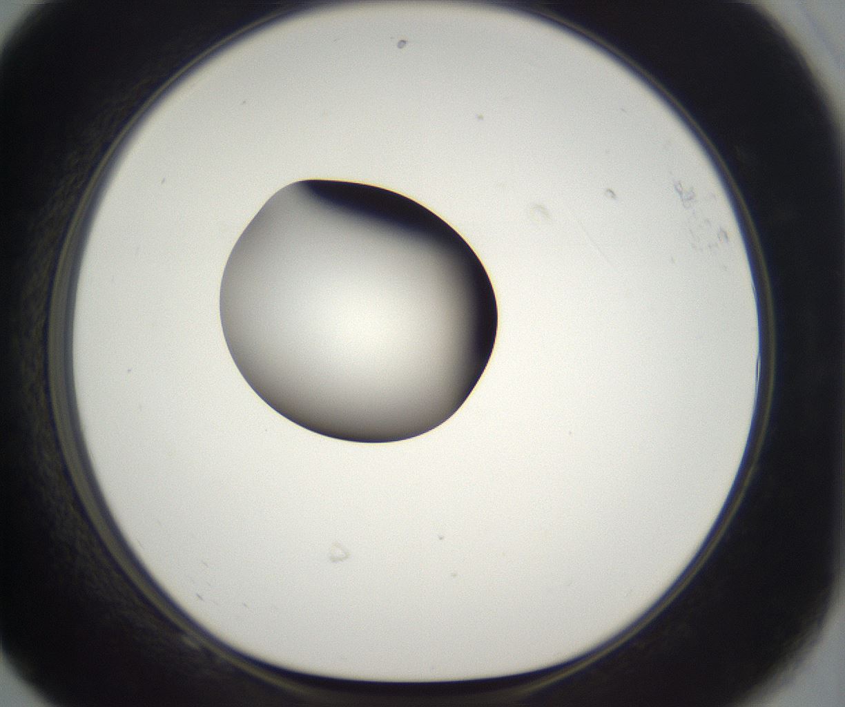 folderID296_plateID2296_batchID10852_wellNum68_profileID1_d1_r161489_ef.jpg