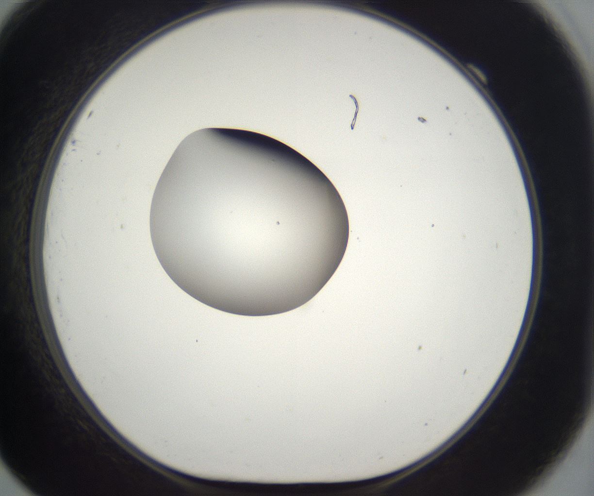 folderID296_plateID2296_batchID10852_wellNum69_profileID1_d1_r161490_ef.jpg